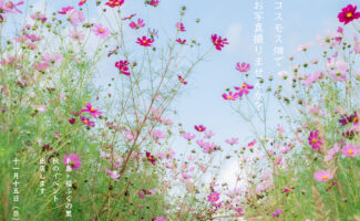 糸島福ふくの里「秋の花まつり2023」イベント出店のお知らせ